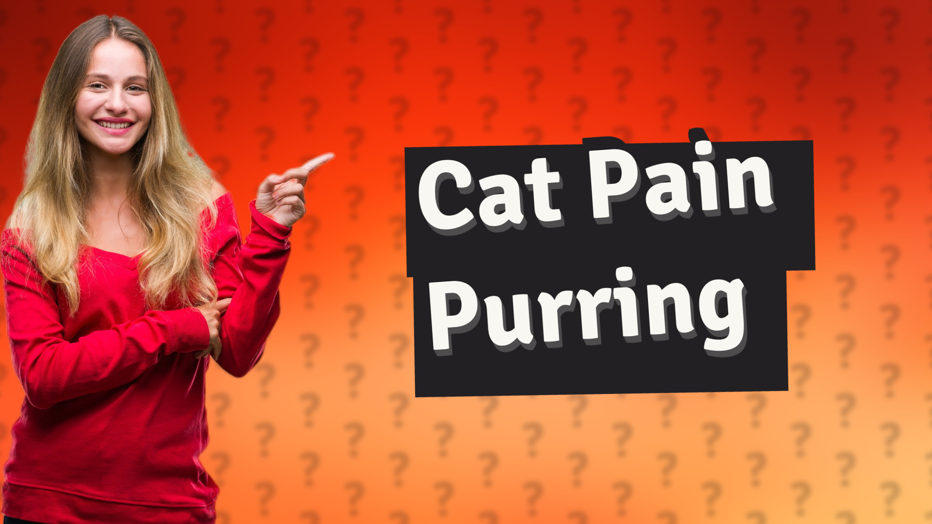Cat Pain Purring