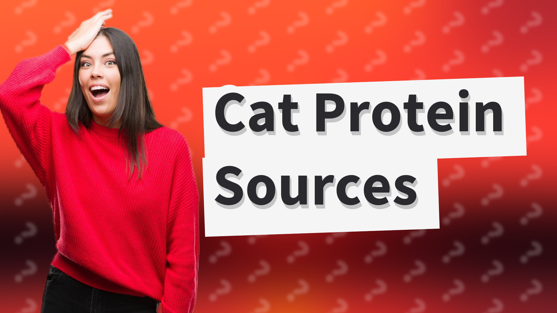 Cat Protein Sources