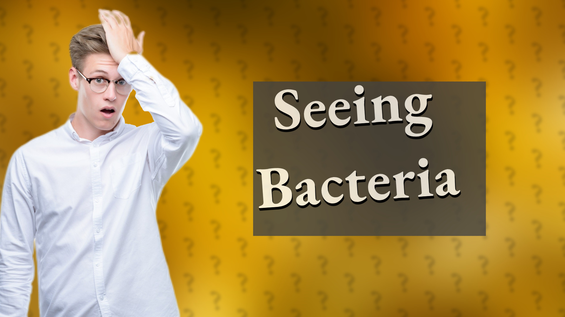 Seeing Bacteria
