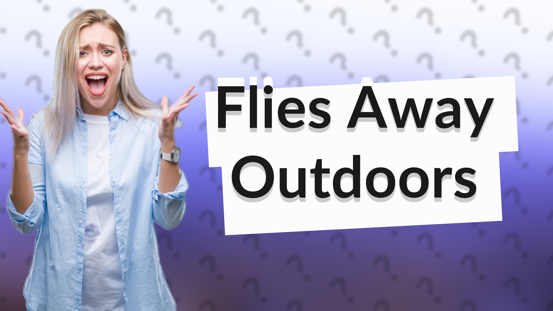 Flies Away Outdoors