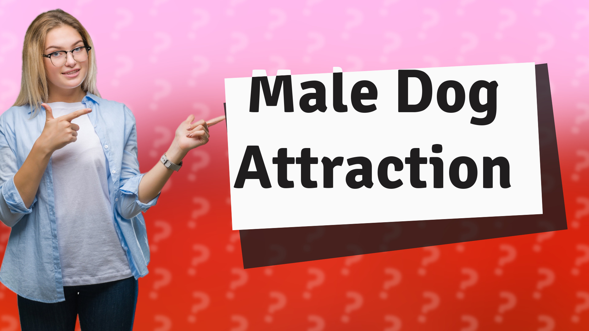 Male Dog Attraction