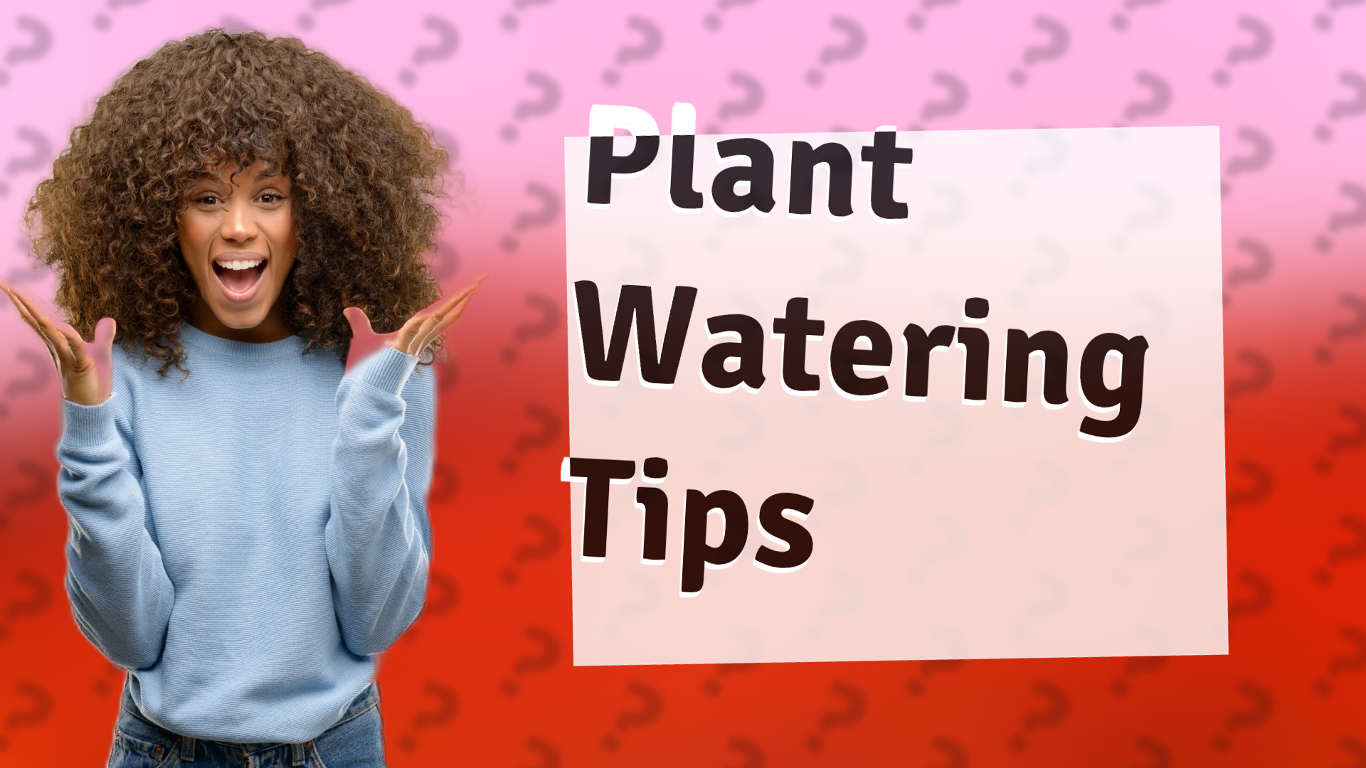 Plant Watering Tips