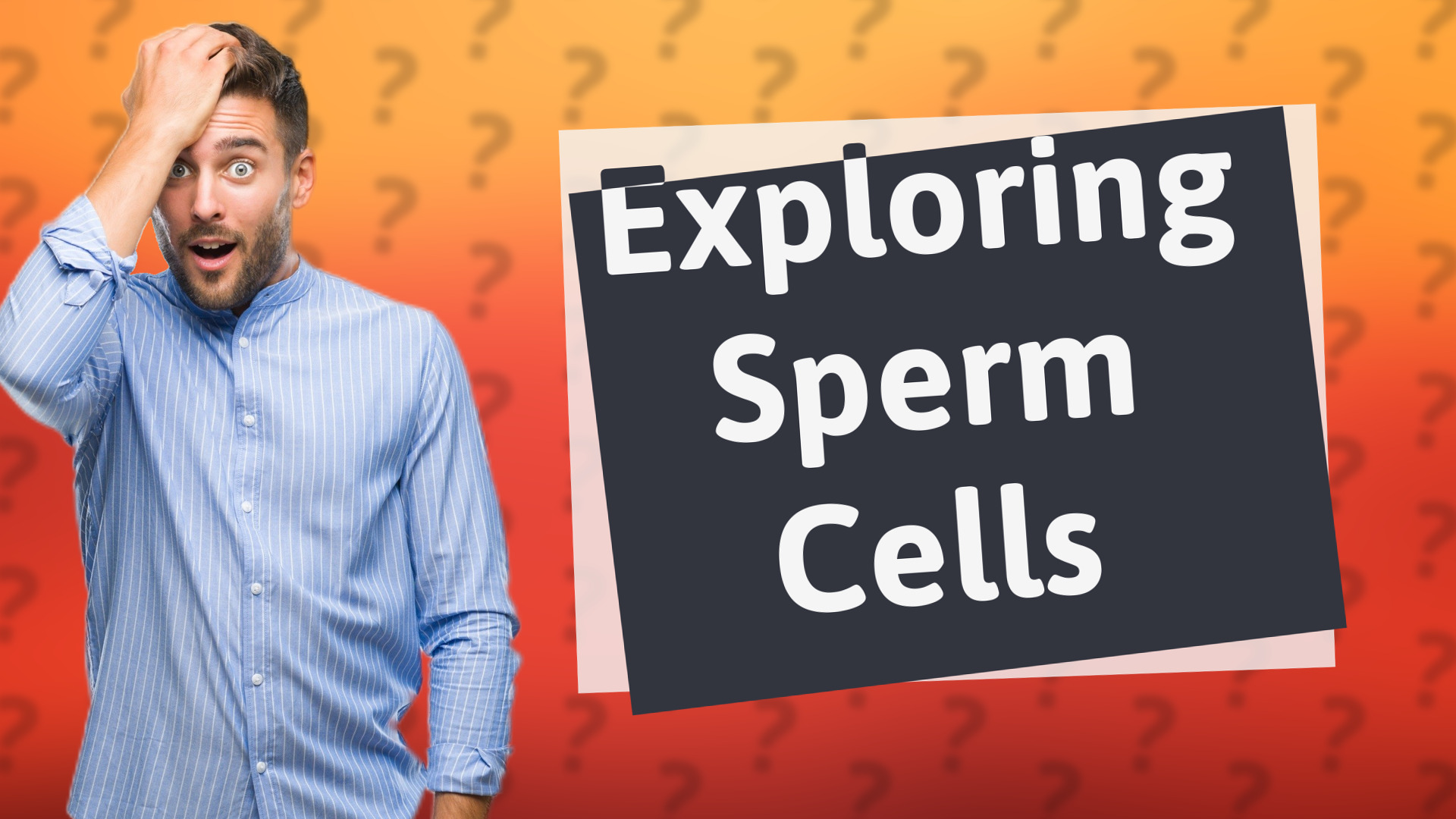 Exploring Sperm Cells