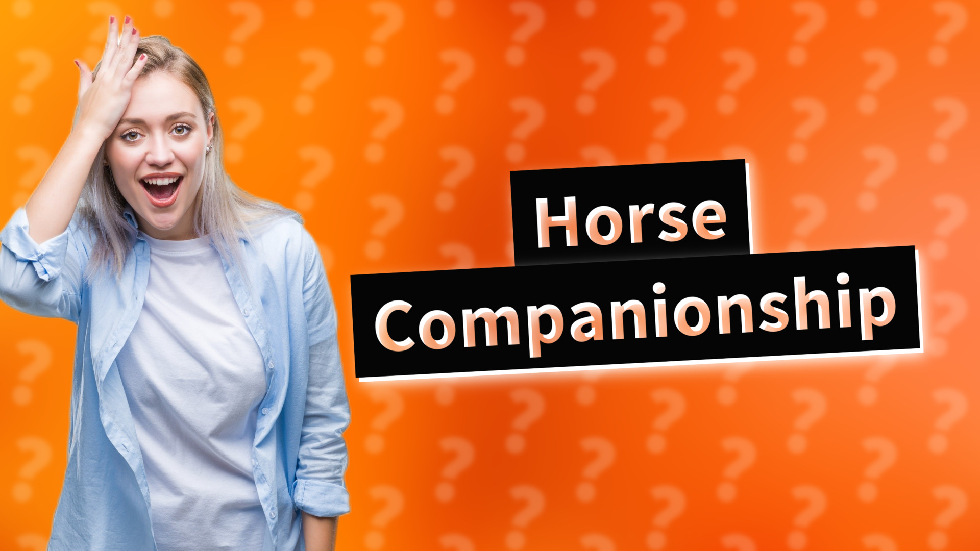 Horse Companionship