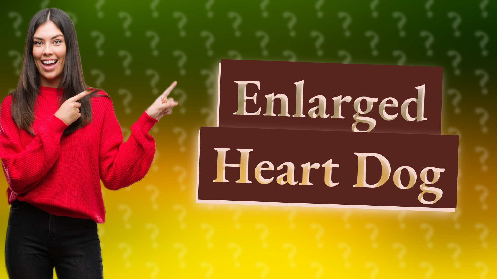 Enlarged Heart Dog