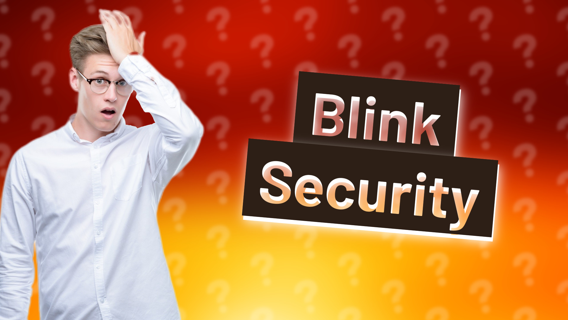 Blink Security