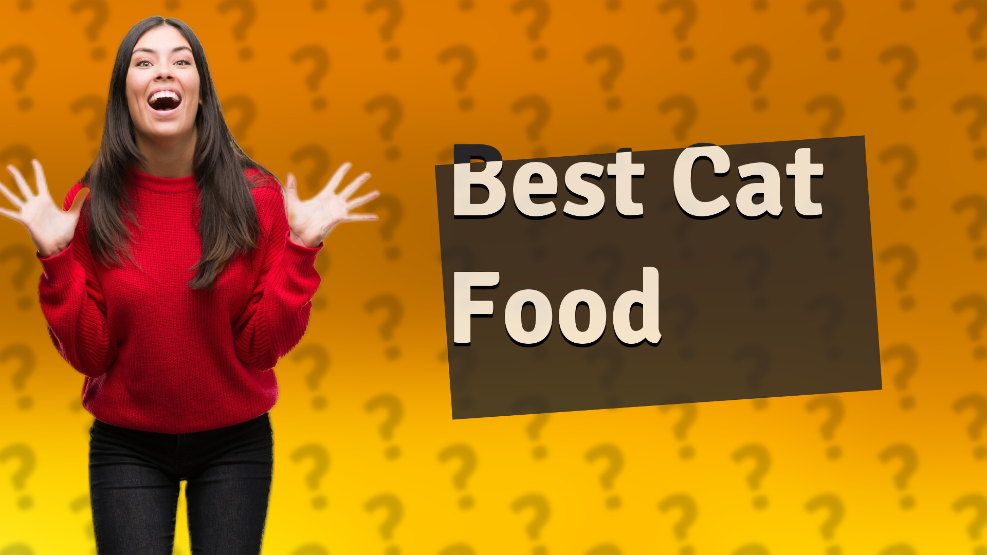 Best Cat Food