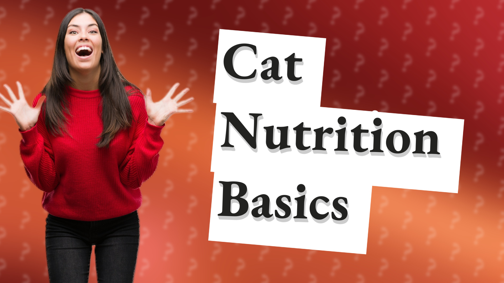 Cat Nutrition Basics
