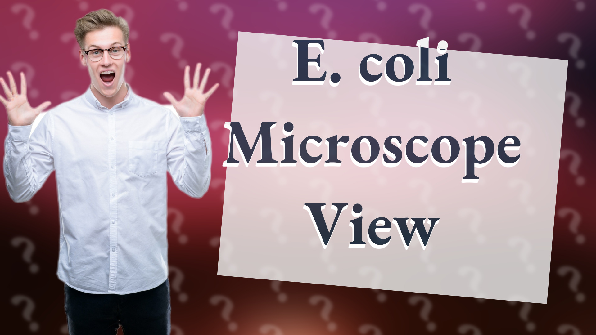 E. coli Microscope View