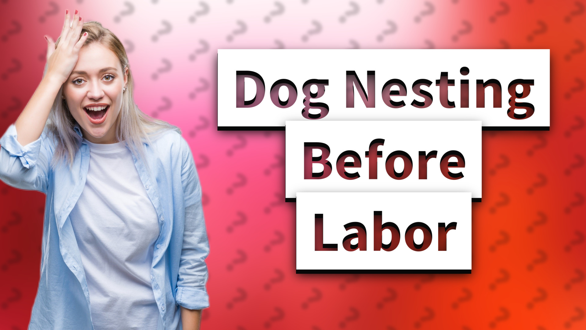 Dog Nesting Before Labor