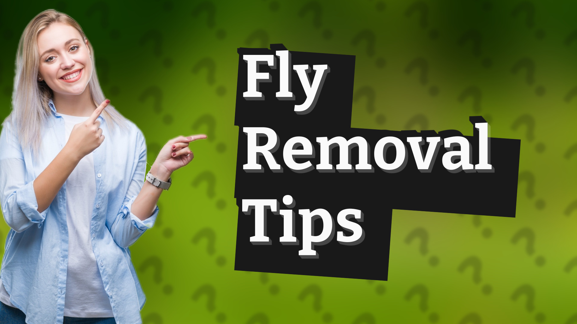 Fly Removal Tips
