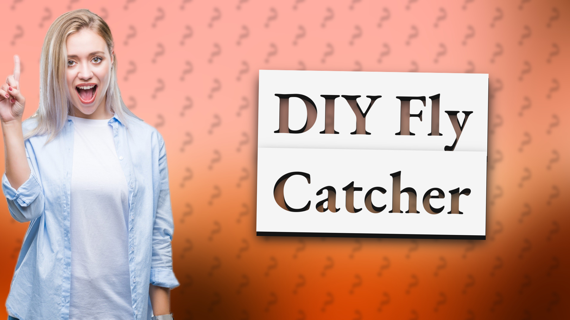DIY Fly Catcher
