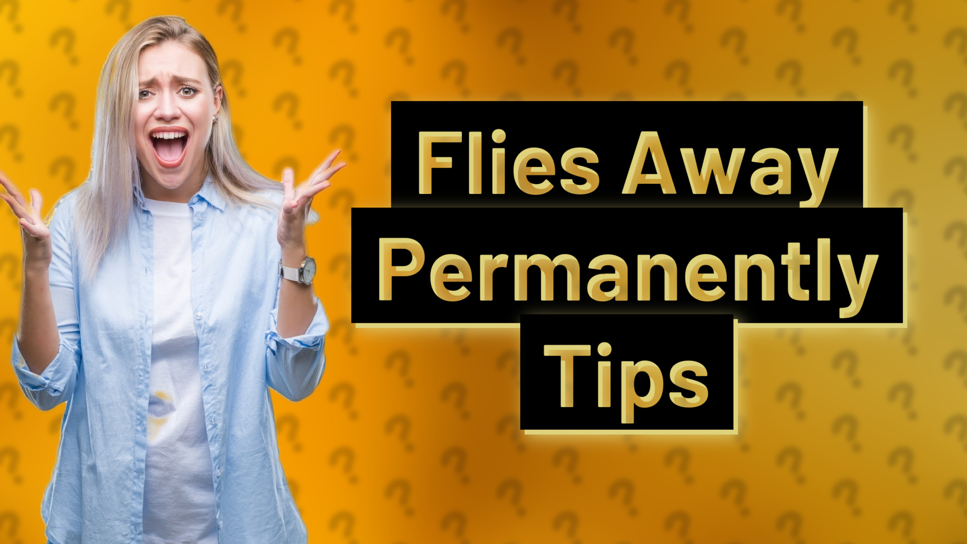 Flies Away Permanently Tips