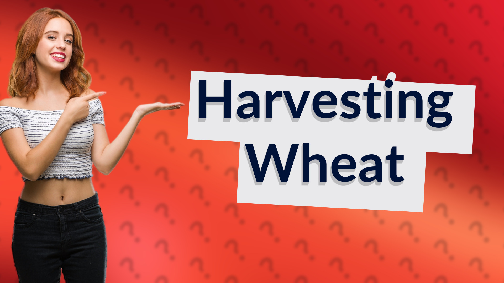 Harvesting Wheat
